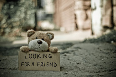 ein-einsamer-teddy-der-neue-freunde-sucht